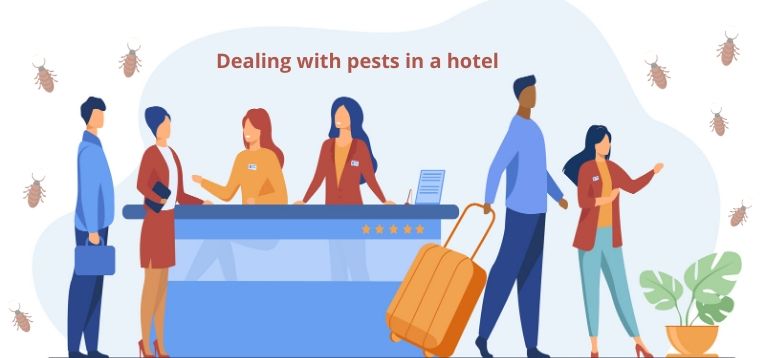 Debugged Blog Dealing With Pests In Hotel Top Banner